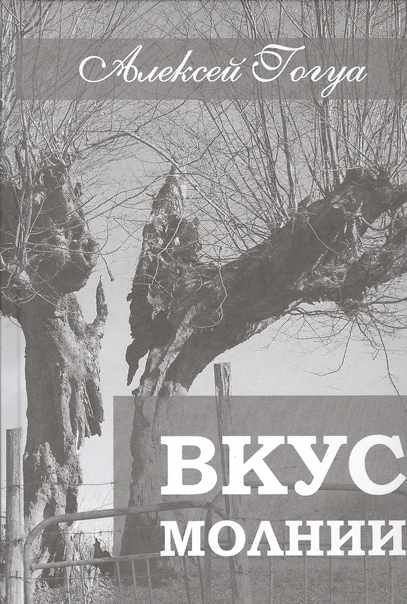 Книга Вкус молнии. Рассказы (Алексей Гогуа) — 1
