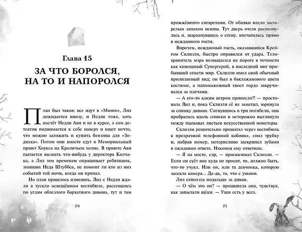 Книга Поткин и Штуббс. Тайна мальчика-привидения (новое оформление) (Софи Грин) — 9