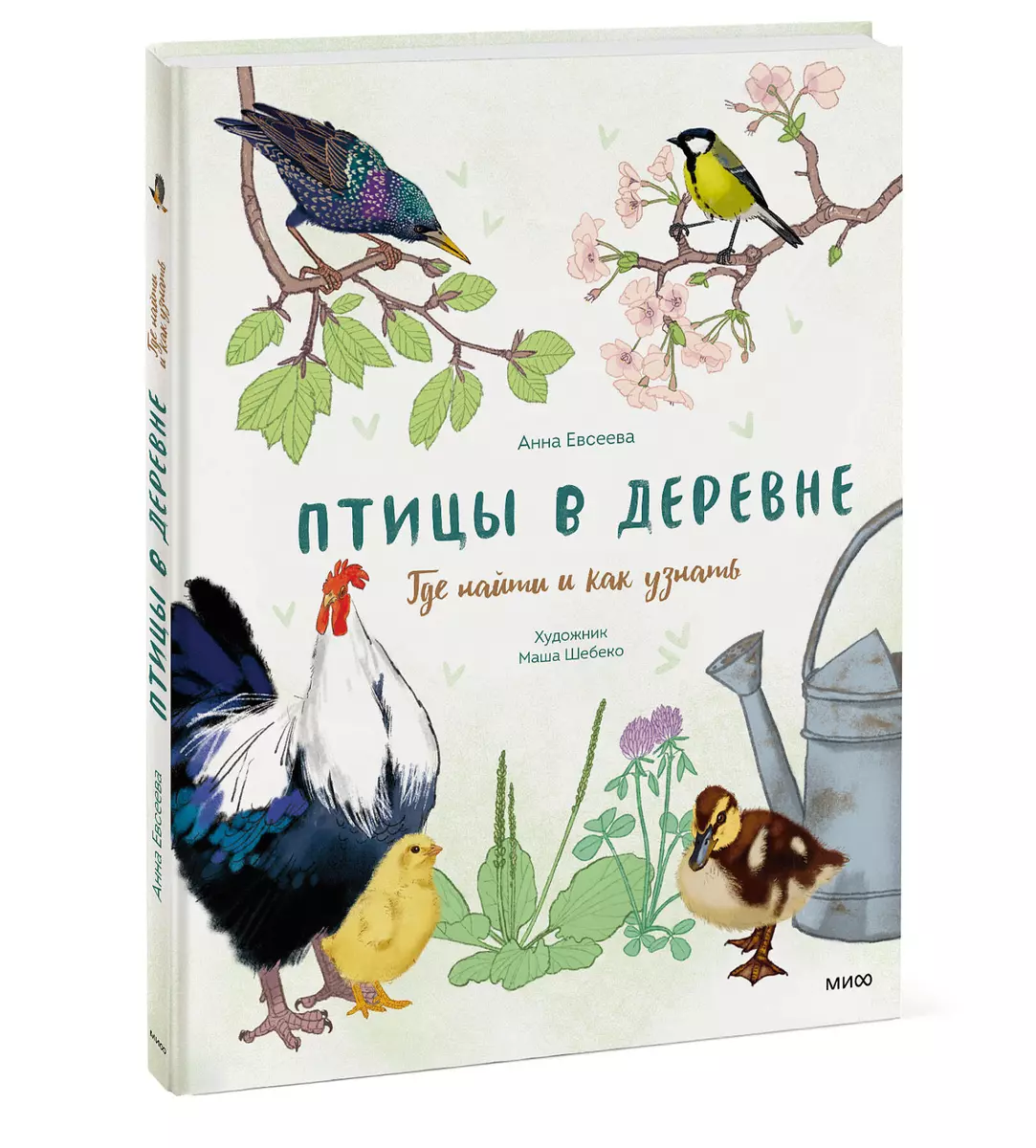 Птицы в деревне. Где найти и как узнать (Анна Евсеева) - купить книгу с  доставкой в интернет-магазине «Читай-город». ISBN: 978-5-00214-093-0