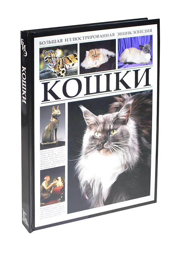 Книга Большая иллюстрированная энциклопедия. Кошки () — 1