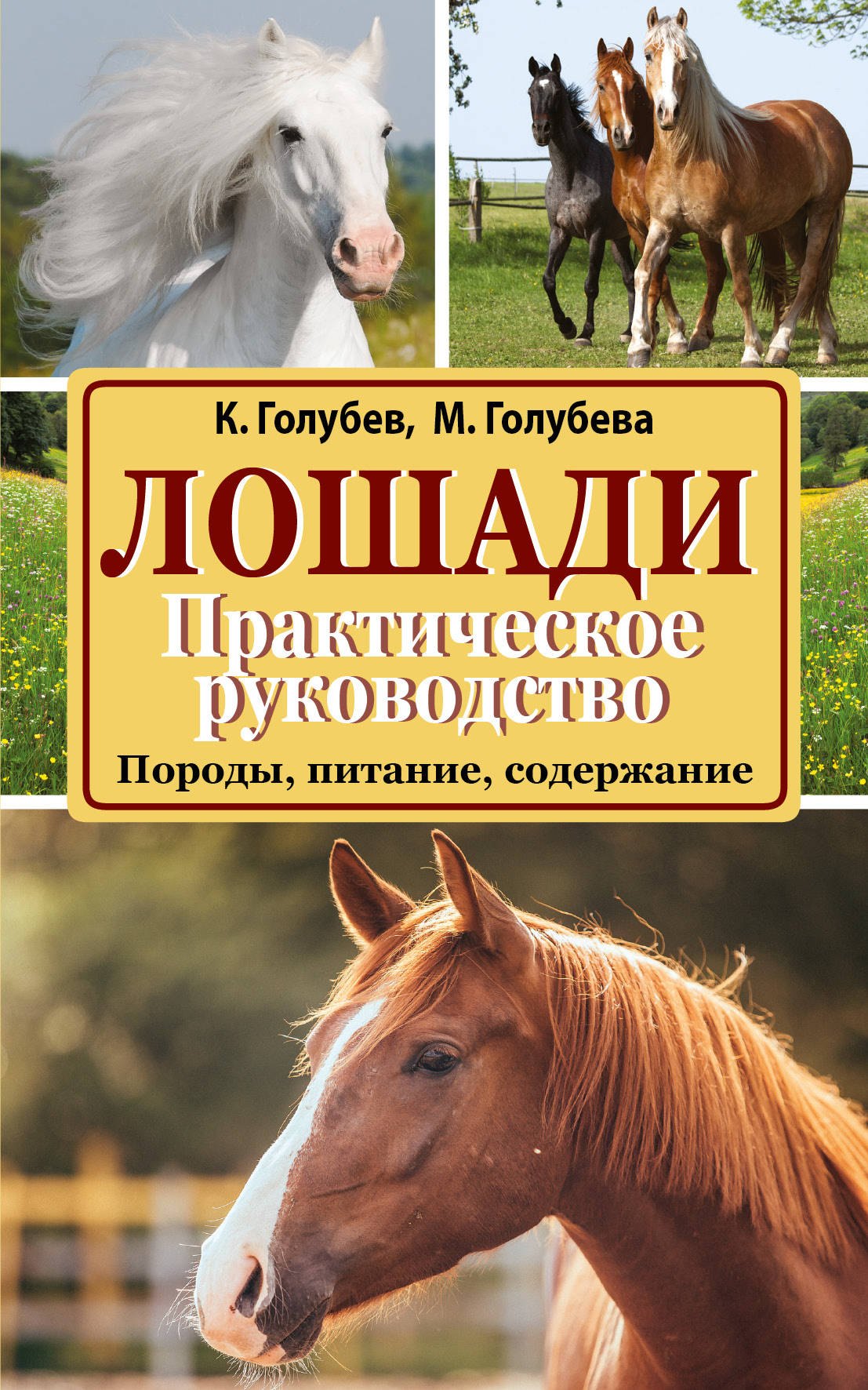 

Лошади. Практическое руководство