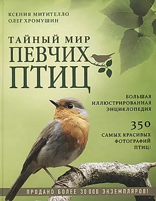 Тайный мир певчих птиц. Большая иллюстрированная энциклопедия — 2622890 — 1