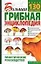 Большая грибная энциклопедия. Размножение, плодоношение, сбор — 2053855 — 1