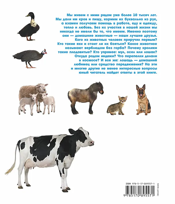 Книга Домашние животные (Анна Спектор) — 2