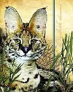 Дневник шк. 48л "СЕРВАЛ" 7БЦ, клапан на магните, тиснение фольгой, универс.шпаргалка, Феникс