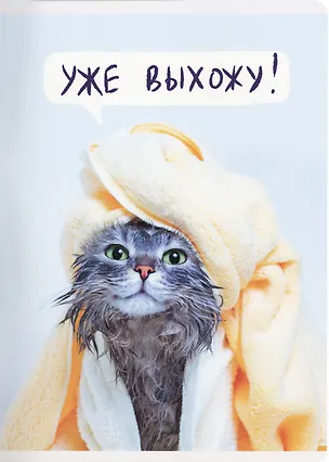 Тетрадь общая «Утро кошечки», 60 листов в клетку, А4 - Listoff 3032918