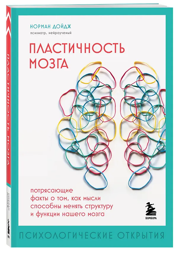 Книга Пластичность мозга. Потрясающие факты о том, как мысли способны менять структуру и функции нашего мозга (Норман Дойдж) — 4