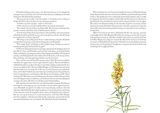 Книга Pride and Prejudice: Illustr by Marjolein Bastin (Jane Austen) Гордость и предубеждение с илл М. Бастин (Джейн Остин)/ Книги на английском языке (Джейн Остен) — 3
