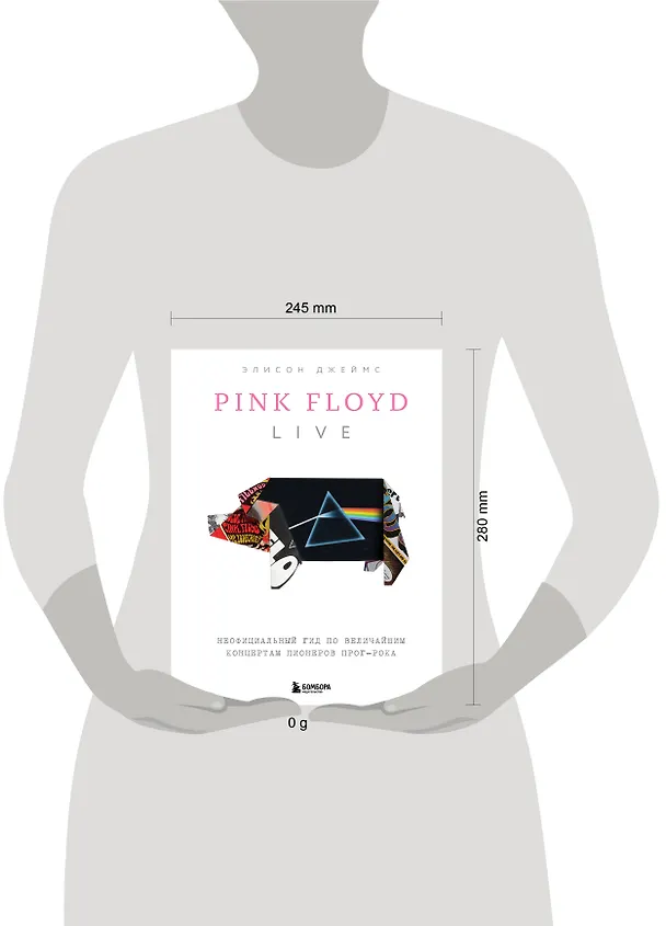 Книга Pink Floyd Live: Неофициальный гид по величайшим концертам пионеров прог-рока (Элисон Джеймс) — 9