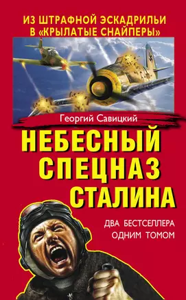 Небесный спецназ Сталина. Из штрафной эскадрильи в "крылатые снайперы" — 2378048 — 1