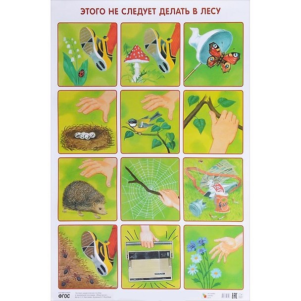 Книга Этого не следует делать в лесу 50 x 69 () — 1