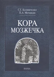 Кора мозжечка