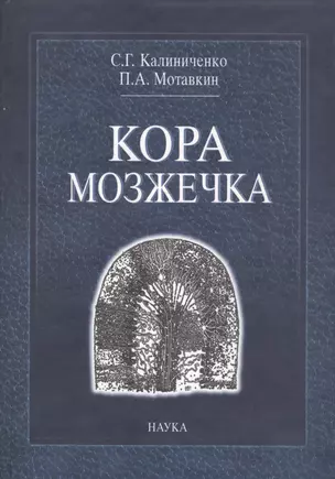 Кора мозжечка — 2633504 — 1