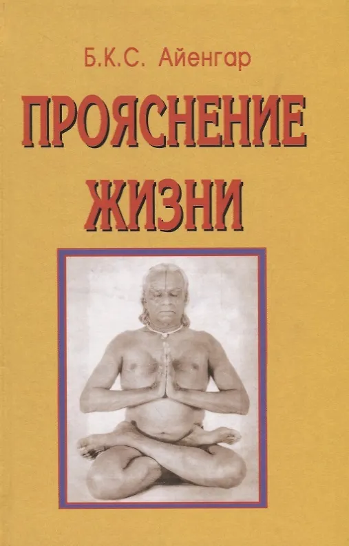 Книга Прояснение жизни (3 изд.) Айенгар () — 1