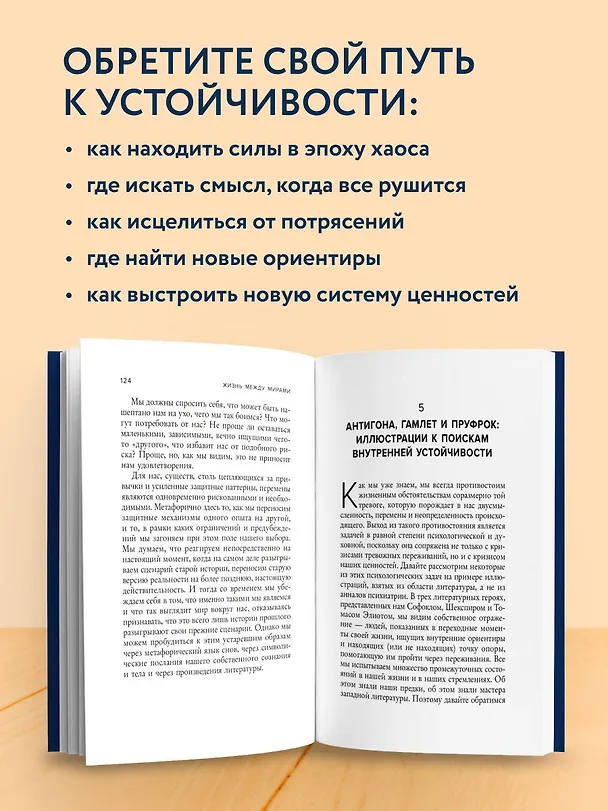 Книга Жизнь между мирами. Как найти внутреннюю опору во времена перемен (Джеймс Холлис) — 6