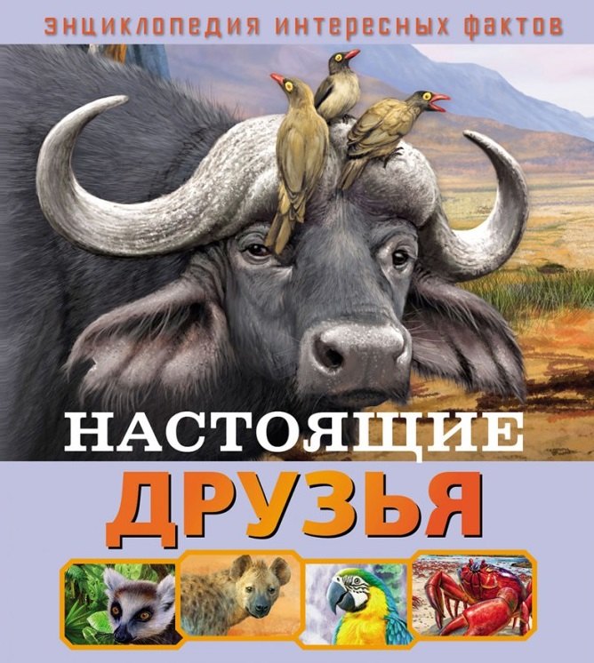 

Настоящие друзья