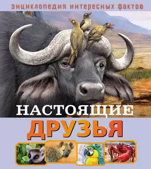 Настоящие друзья — 2770418 — 1