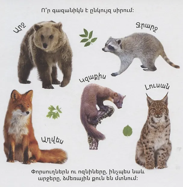 Книга В мире животных (на армянском языке) () — 3