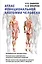 Атлас функциональной анатомии человека. Учебное пособие — 2922547 — 1