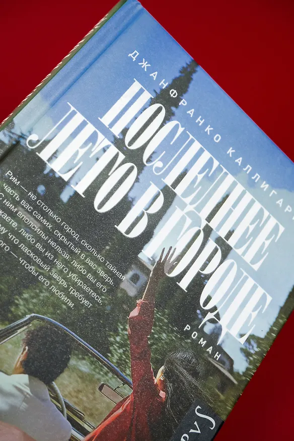 Книга Последнее лето в городе (Джанфранко Каллигарич) — 7