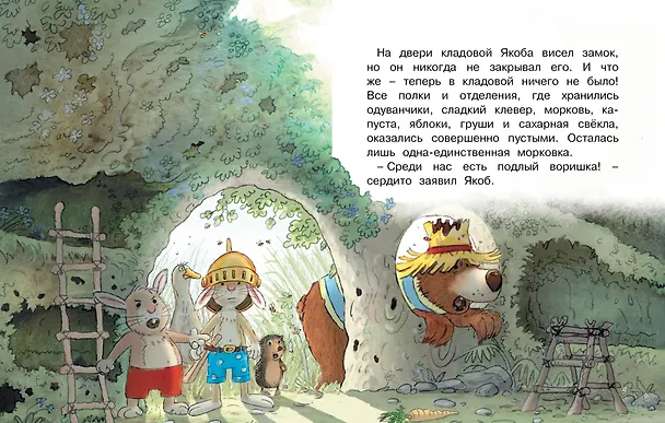 Книга Сказки Волшебного леса: Лесной воришка, Сокровища острова Бузины (Вальтер Кёсслер Валько) — 3