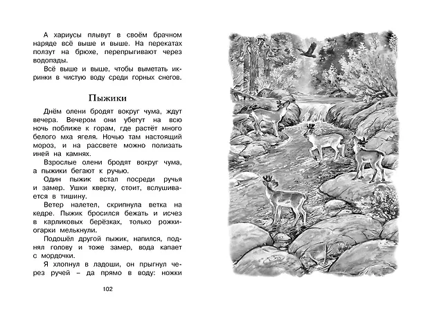 Книга Беспокойный хвостик (Геннадий Снегирёв) — 8