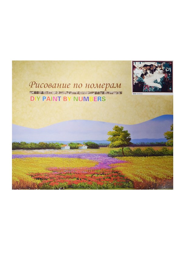 Набор для раскрашивания по номерам (G032) (7703599) (40х50см) (коробка) 2483368 — 1