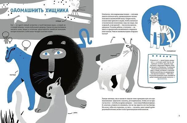 Книга Твои коты (Екатерина Климова) — 5