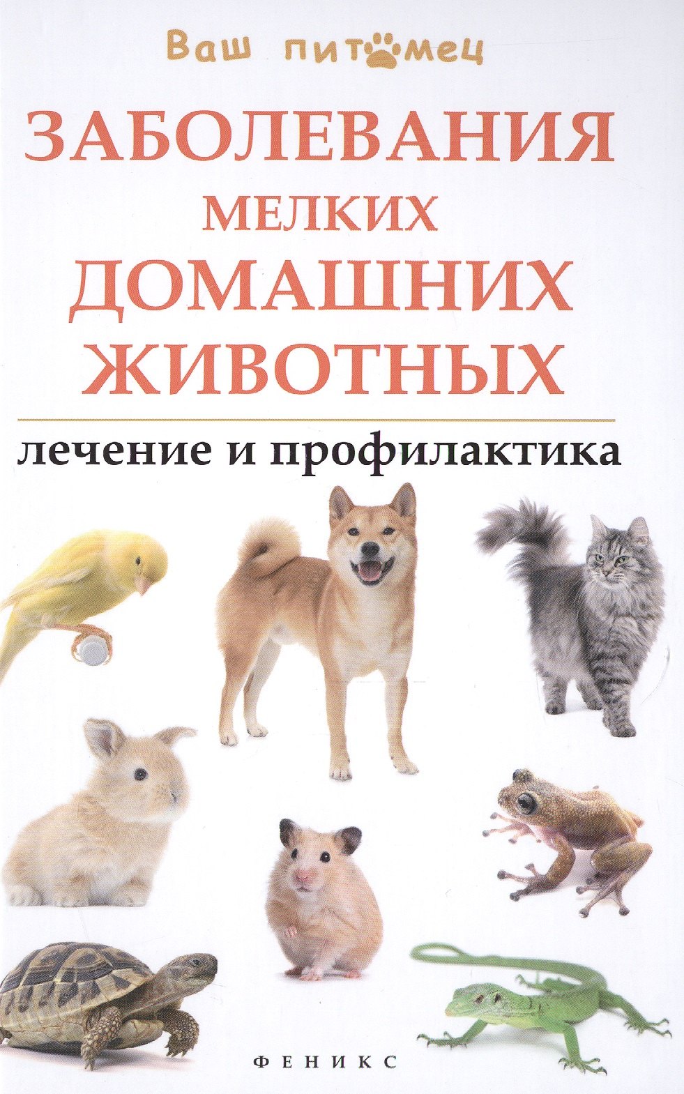 

Заболевания мелких домашних животных