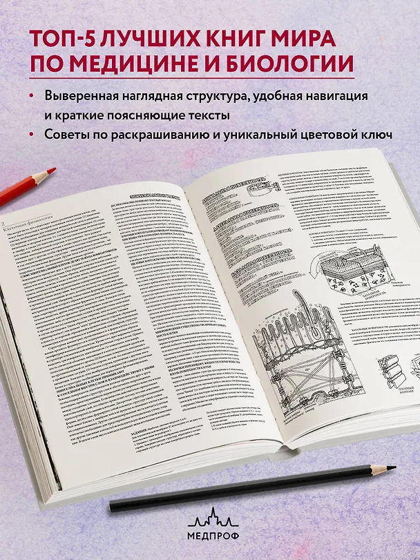 Книга Физиология человека: атлас-раскраска (Уинн Кэпит, Роберт Мейси, Эсмаил Мейсами) — 7