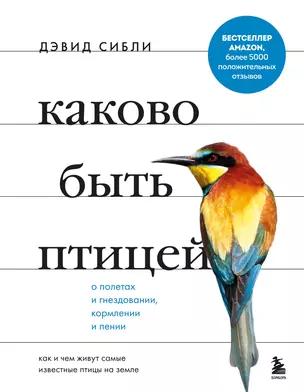 Каково быть птицей: о полетах и гнездовании, кормлении и пении. Как и чем живут самые известные птицы на земле — 2901753 — 1