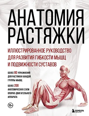 Анатомия растяжки. Иллюстрированное руководство для развития гибкости мышц и подвижности суставов — 3078299 — 1