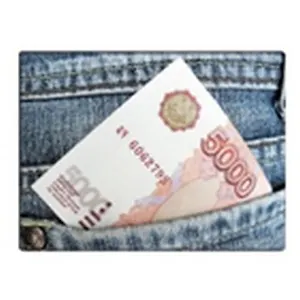 Обложка на студенческий Денежка (00000001644)