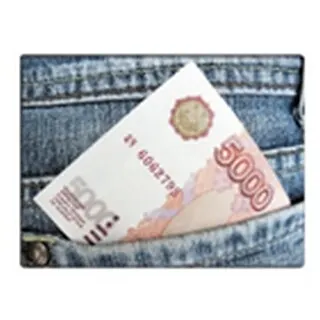 Обложка на студенческий Денежка (00000001644) 2305027 — 1