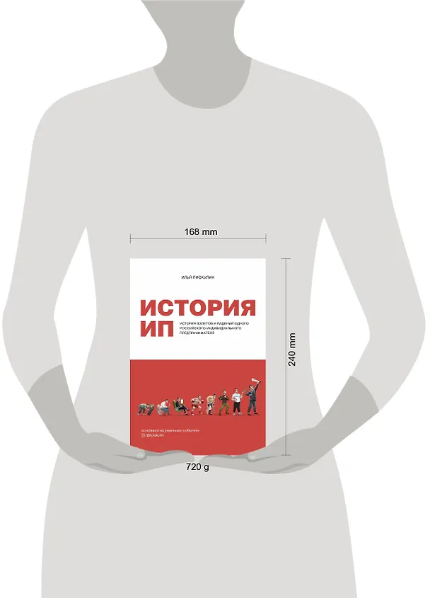 Книга История ИП. История взлетов и падений одного российского индивидуального предпринимателя (Илья Пискулин) — 5