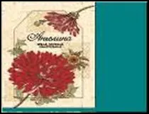 H&H Сумка д/покупок текстильная в чехле - АНГЕЛИНА