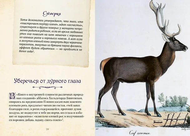 Книга Магические животные. Легенды и суеверия (Дениз Кроль-Терзаги) — 15