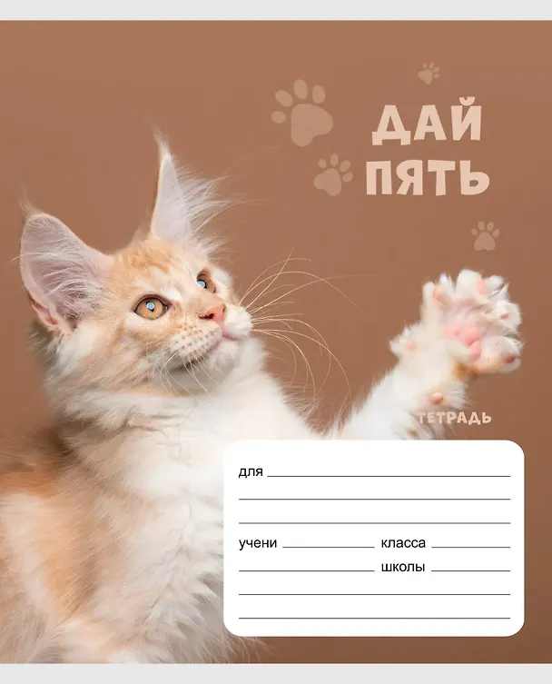 Тетрадь в клетку Listoff «Дай пять!» в ассортименте, 24 листа 3033022 — 2
