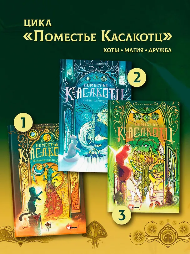 Книга Поместье Каслкотц. Время туманов (Ален Т. Пюиссегюр) — 10