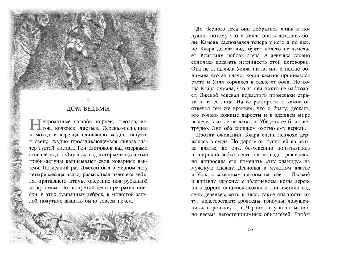 Бесшабашный. Книга 1. Камень во плоти (Корнелия Функе) - купить книгу с  доставкой в интернет-магазине «Читай-город». ISBN: 978-5-389-06808-7