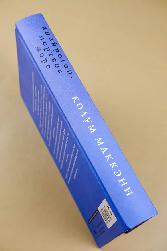 Книга Апейрогон. Мертвое море (Колум Маккэнн) — 11