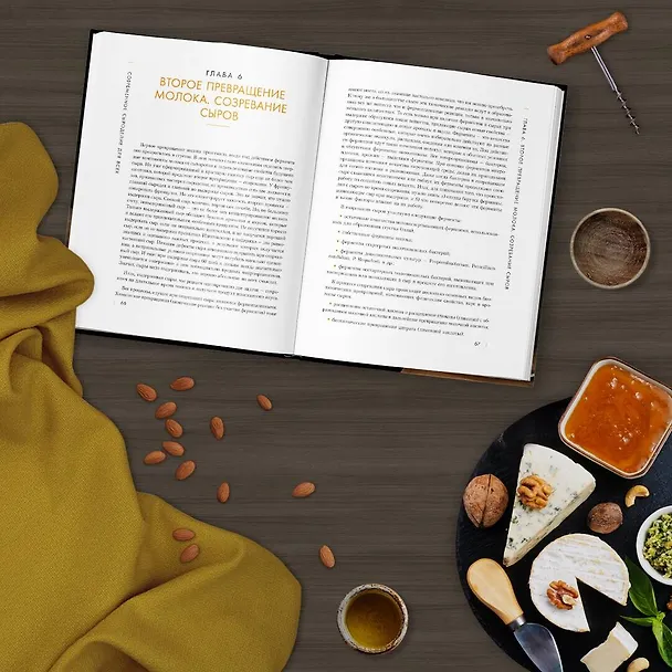 Книга Современное сыроделие для всех (Павел Чечулин) — 13