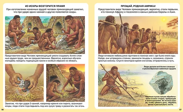 Книга Миллион лет до нашей эры (Эмили Бомон) — 6