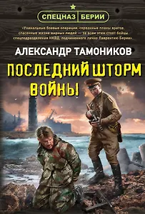 Последний шторм войны