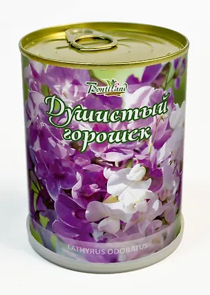 Цветок в банке "Душистый горошек" (410459) 2371563