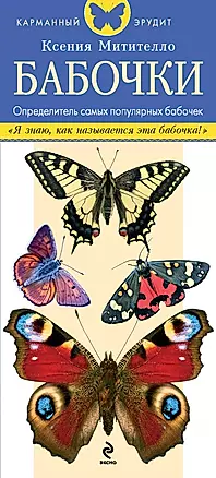 Бабочки. Определитель самых популярных бабочек — 2454162 — 1