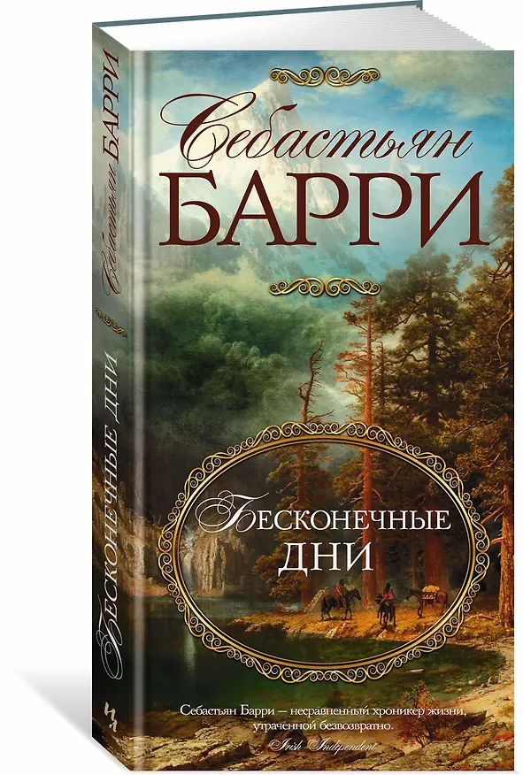 Книга Бесконечные дни (Себастьян Барри) — 2