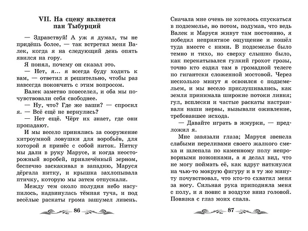 Книга В дурном обществе: повесть (Владимир Короленко) — 13