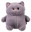 Мягкая игрушка Котик с щечками (серый) (22см) (12-0650-202411-T3) Bookvalno — 3075166 — 2