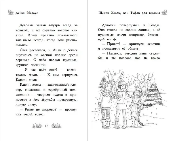 Книга Щенок Холли, или Туфли для ведьмы (зимн.) (Дейзи Медоус) — 7